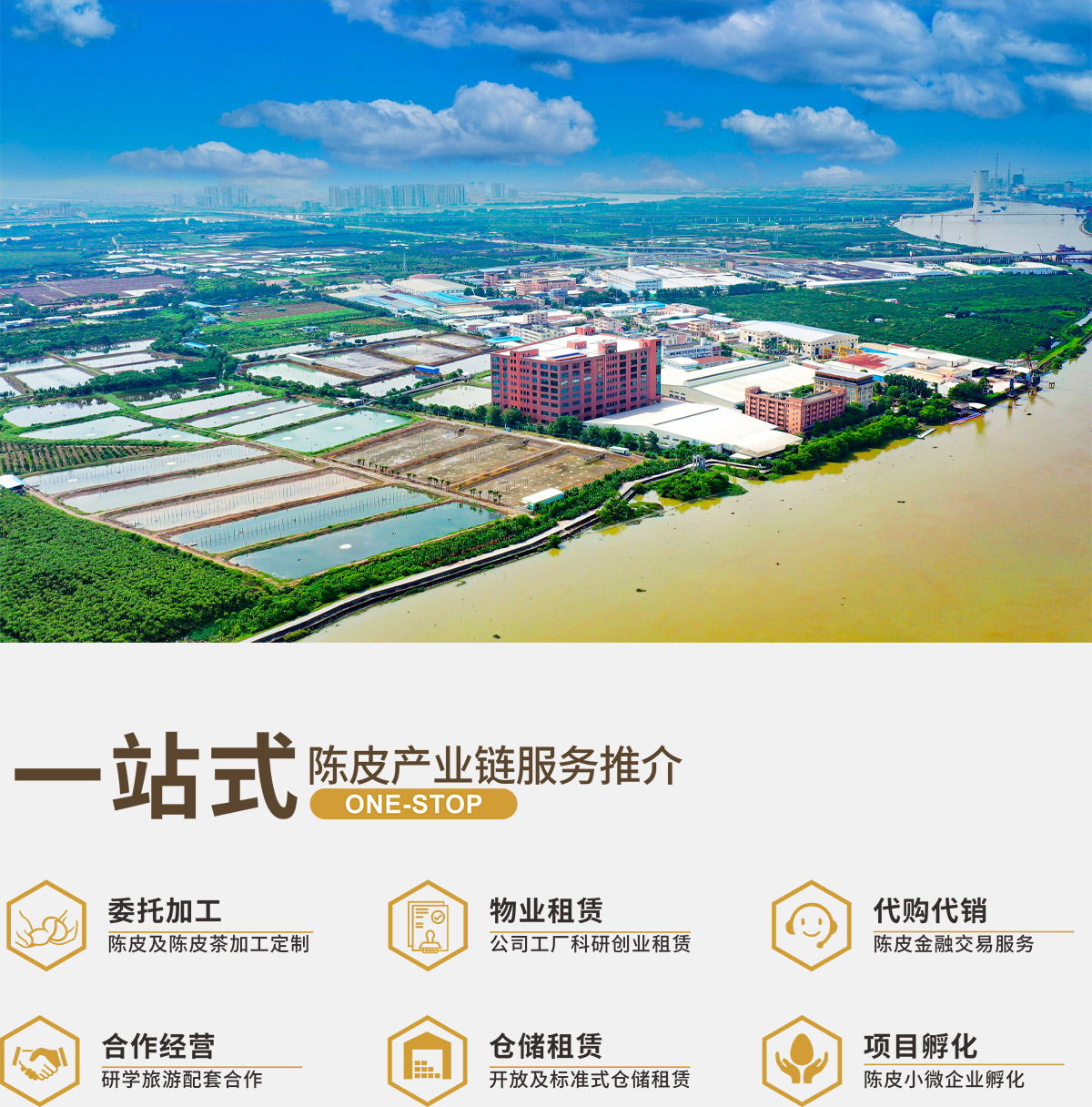 中仁堂投資十億元 新會陳皮全產業鏈與企業孵化引領產業新局